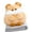 Hamster, variant on Giaone Plushie Pillow And Throw Blanket With Cute Designs For Home Office Use