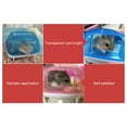 thumbnail image 7 of Walbest Hamster Sand Bathroom Chinchilla Sand Bathroom Cleaning Tool Supplies Plastic Box for Hamster, Random Color(S), 7 of 7