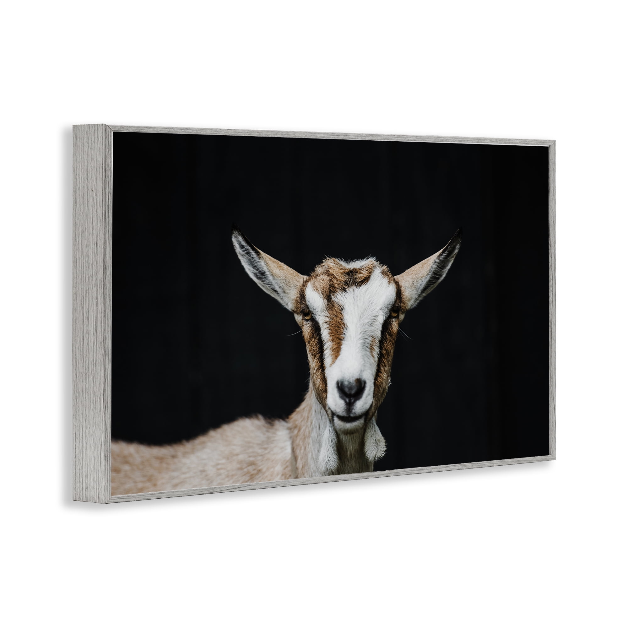 Goat Face over Black Gray Framed Giclee Art, design by Amy Carroll