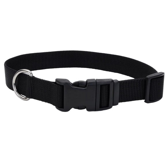 Pet Attire by Coastal Small 8-12" Black Adjustable Buckle Dog Collar