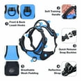 thumbnail image 7 of PHOEPET No Pull Dog Harness Medium Reflective Front Clip Vest with Handle, Adjustable 2 Metal Rings 2 Buckles,Blue, 7 of 7