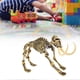 thumbnail image 4 of Dinosaur Skeleton Bones Model Toy Children Learning Educational Toys#2, 4 of 4