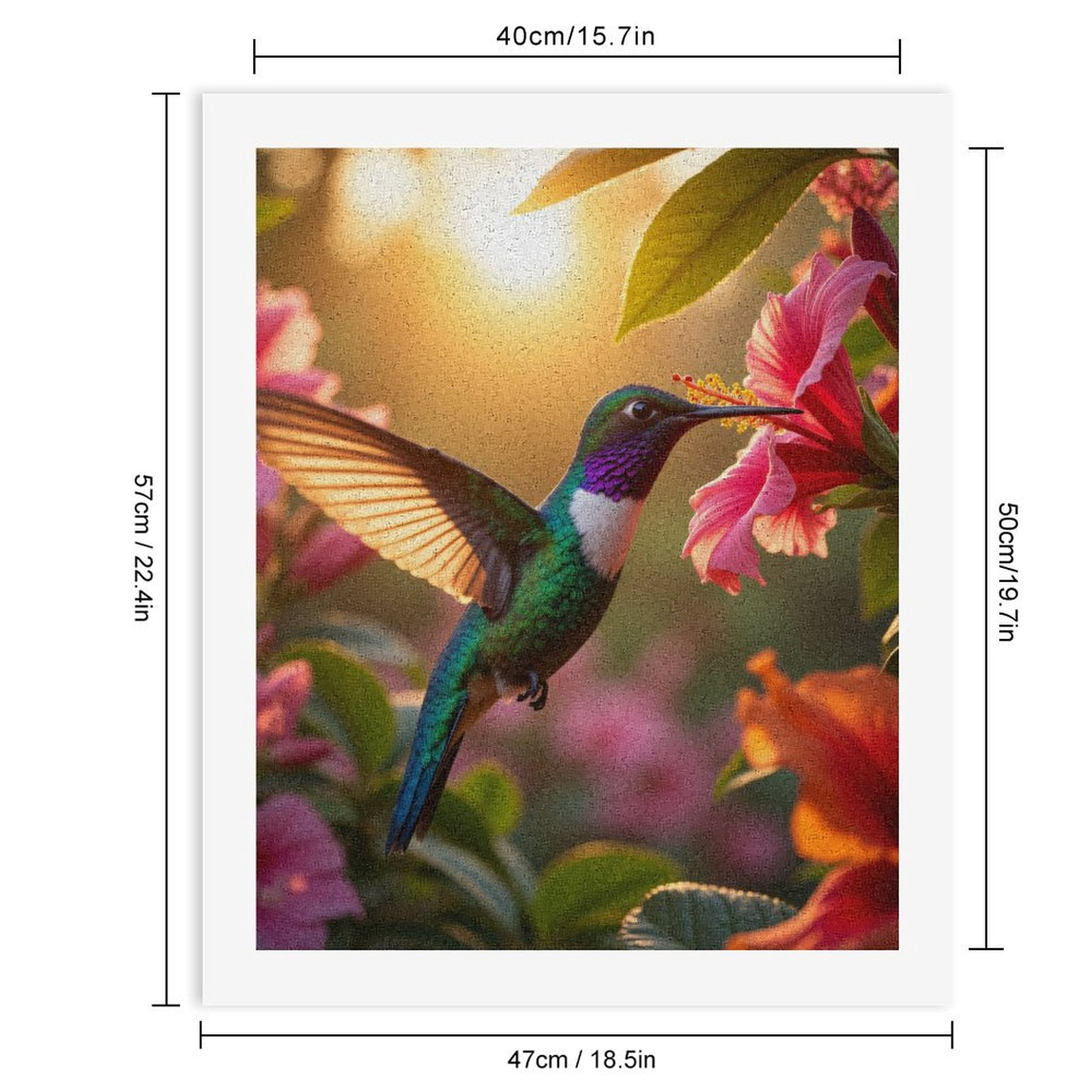 Paint By Numbers Kit for Adults Beginner - Hummingbird Sunlit Floral Beauty DIY Canvas Painting Kits for Adults, Frameless Paint By Number for Adults for Home Wall Decor 16x20 Inch