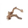 Large Multi-Branch â€“ 26â€ x 2.4â€ AE6003L