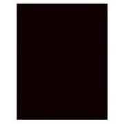 Royal Consumer Products 24309 22 x 28 in. Black Posterboard- Pack Of 25