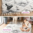 thumbnail image 3 of SAFAVIEH Moroccan Tassel Larry Geometric Shag Area Rug, Ivory/Grey, 6' x 8', 3 of 13