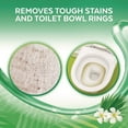 thumbnail image 4 of LYSOL Brand Clean & Fresh Toilet Bowl Cleaner Cling Gel Country Scent 24oz 98015, 4 of 7