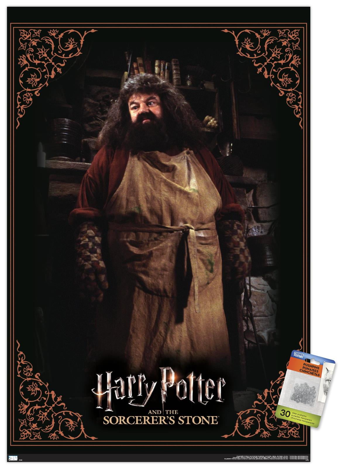 In Welchem Haus War Hagrid