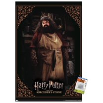 Harry Potter and the Sorcerer's Stone - Hagrid Cooking Wall Poster with Pushpins, 22.375" x 34"