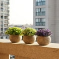 thumbnail image 3 of 3 Pcs Mini Plantes Artificielles en Pot Fausse Herbe Verte Pot Simulation, 3 of 8