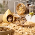 thumbnail image 6 of Ceramic Hamster Hideout,Cute Summer Cooling Houses FOR Cage Accessories,Animal Hides FOR Gerbils Mice Hamster, 6 of 6