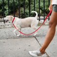 thumbnail image 2 of 2pcs Black,Dog Collar, Classic Adjustable Reflective Nylon Collar Suitable for Medium Dogs,(M) 2.5cm Width, 2 of 5