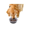 thumbnail image 2 of Cuenco para perros Dexas Slow Feeder, 6 tazas, gris, para la salud, 2 of 3
