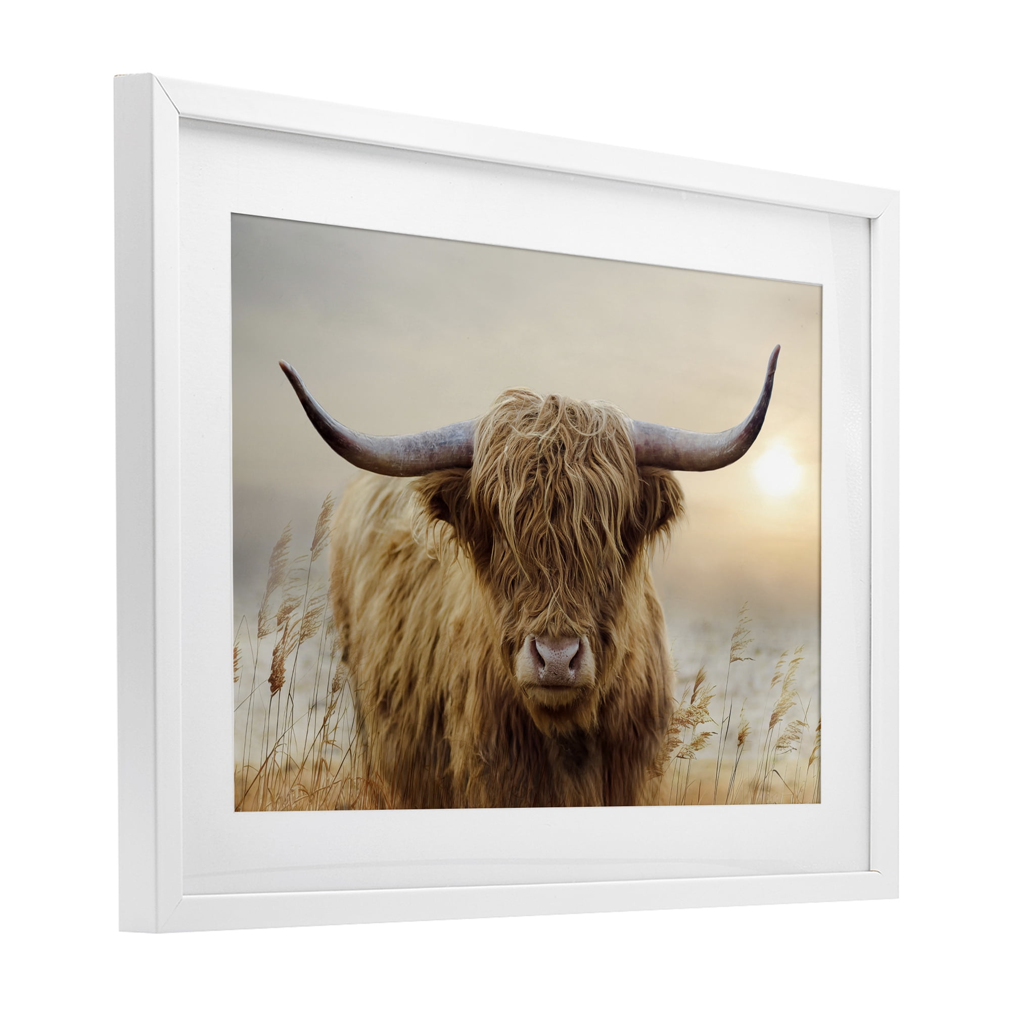 Stupell Industries Highland Cow & Warm Sunset White Framed Print Under Glass, design by CAD Designs