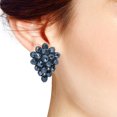 thumbnail image 5 of Midnight Forest Black Crystals Grape Clip On Earrings, 5 of 5