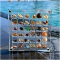 thumbnail image 6 of IKOMMI Acrylic Magnetic Seashell Display Box, Seashell Storage Box Display Case Decorative Seashell Starfish Trinket, Small Craft Organizers Container for Bead, Nail, Jewelry, 6 of 8
