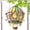 Color, variant on Darzheoy 2D Hot Air Balloon with Flame Solar Hot Air Balloon Model Glass Outdoor Solar Hanging Lights for Garden Yard Farmhouse Patio Decoration