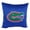 Florida Gators, variant on Arkansas Razorbacks 16 inch Reversible Decorative Pillow