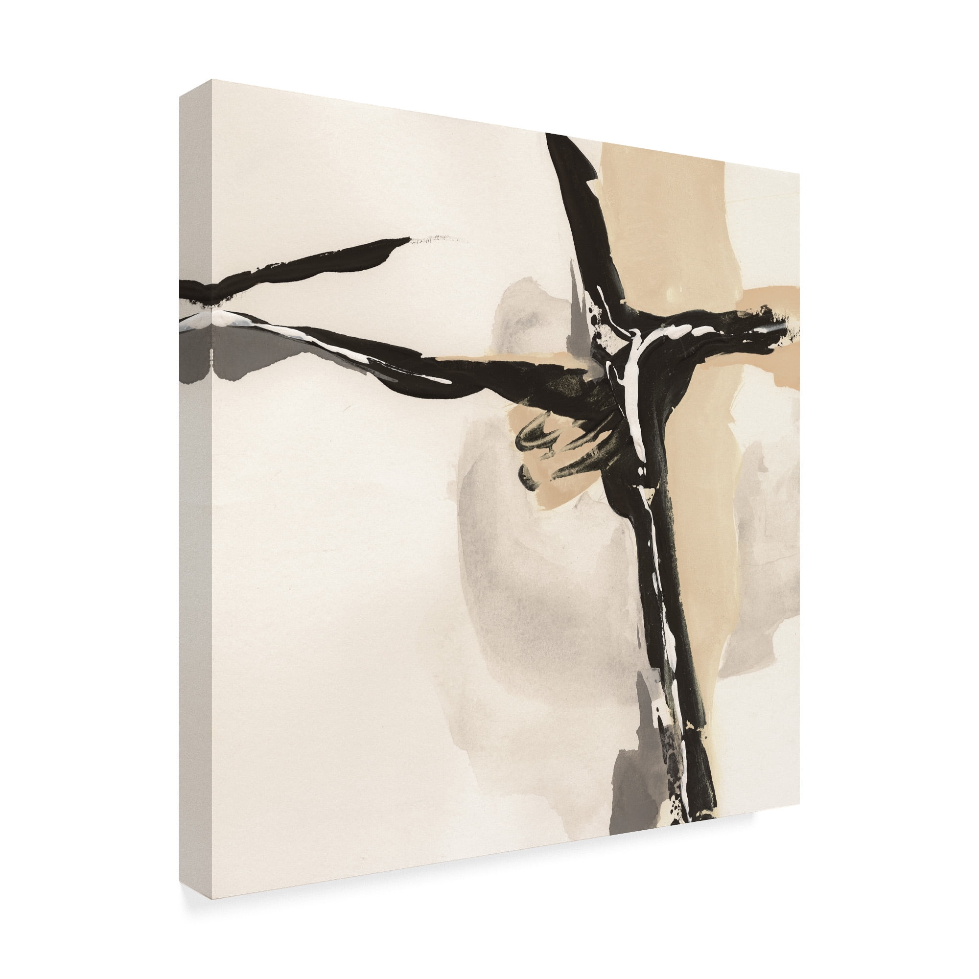 Trademark Fine Art 'Creamy Tan II' Canvas Art by Chris Paschke