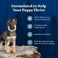 thumbnail image 6 of Blue Buffalo Wilderness High-Protein Grain-Free, Puppy Dry Dog Food, Chicken, 24-lb Bag, 6 of 13