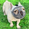 thumbnail image 3 of Short Snout Dog Muzzles- Adjustable Breathable Mesh Bulldog Muzzle for Biting Chewing Barking Training Grooming Dog Mask,GreyS, 3 of 8