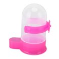 thumbnail image 2 of Alimentador de agua para palomas dispensador de comida para pájaros de apertura ancha rosa plástico resistente a la presión para jaula de mascotas para loros Higoodz Otros, 2 of 8