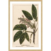 Marmont Hill "Horse Chestnut" Framed Painting Print