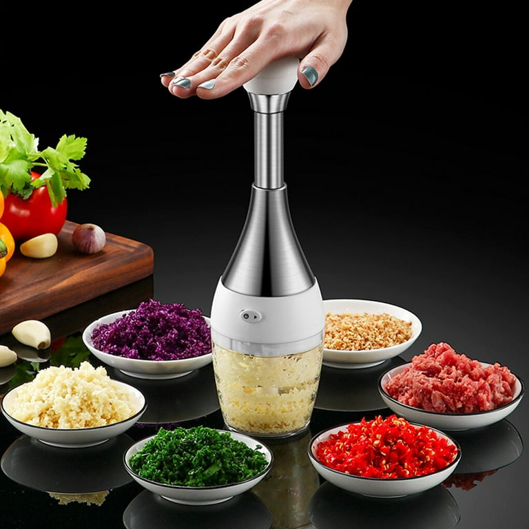 DIYOO Manual Food Processor Vegetable Meat Chopper, Portable Hand Manual  Push Garlic Grinder Mincer Onion Cutter for Veggies, Ginger, Fruits, Nuts,  Herbs 