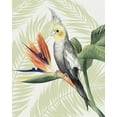 thumbnail image 2 of Popp, Grace 20x24 White Modern Wood Framed Museum Art Print Titled - Avian Paradise I, 2 of 4