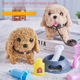 thumbnail image 1 of Cachorro eléctrico que camina llamará juguetes para bebés de 0 a 3 años regalos para bebés juguetes educativos para niños, 1 of 1
