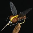thumbnail image 2 of 2 Pcs Leurres de Truite Mouches Imitation Insectes Appâts Mouches pour Eau Douce altwater, 2 of 10
