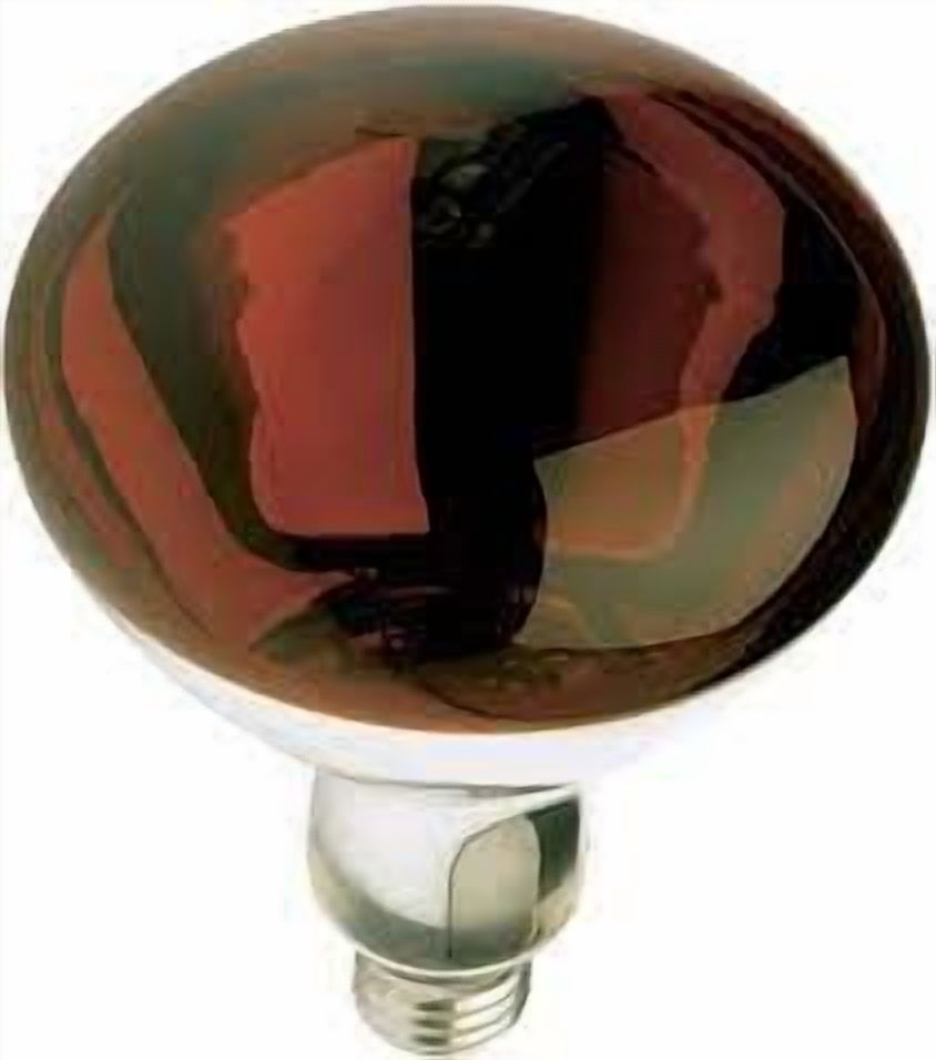 Satco S4998 Infrared Incandescent Red Heat R40 Reflector Light Bulb E26 Medium Base Dimmable (12 Pack)