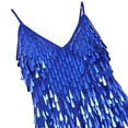 thumbnail image 5 of YONGHS Women's 1920s Cocktail Party Flapper Dress Sequin Tassel Latin Salsa Tango Dancewear Blue One_Size, 5 of 7