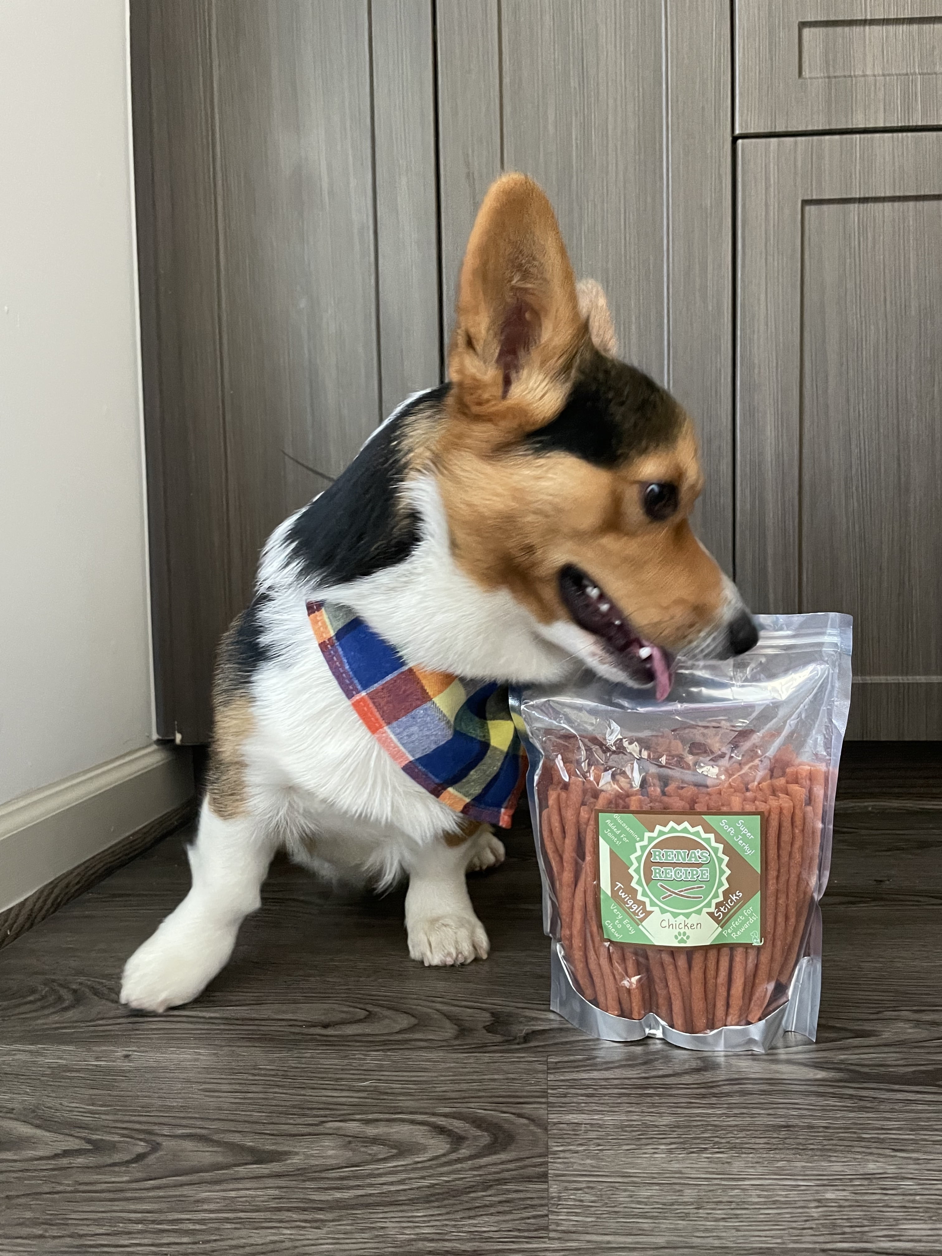 Rena's Recipe Chicken Twiggly Sticks Dog Treats 24 oz Soft Chews Easy to Chew Senior Dogs High Protein