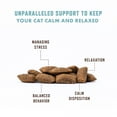 thumbnail image 4 of Rocco & Roxie Calming Crunchy Chews for Cats, Chicken Flavor, 3.7 oz, 4 of 8