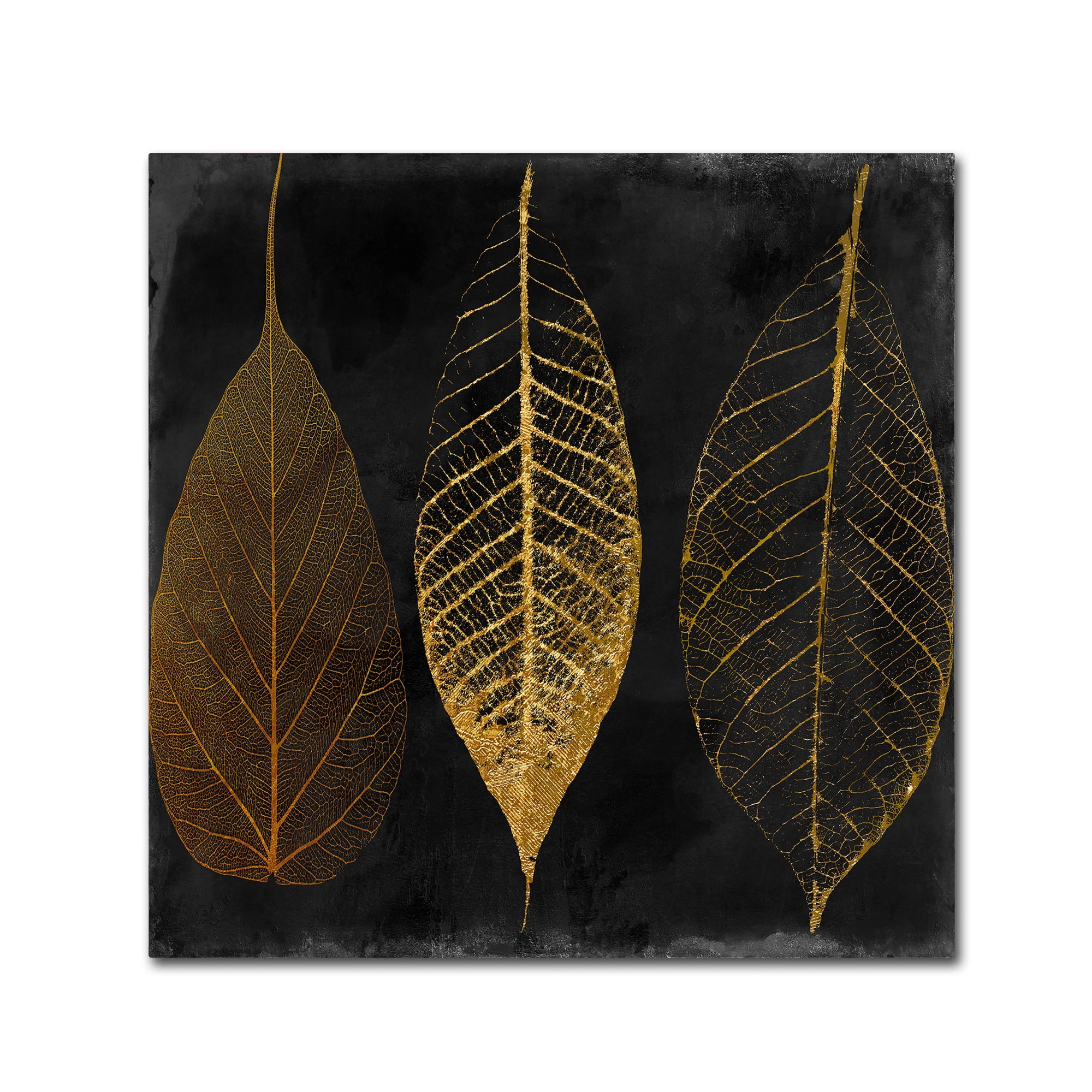Trademark Fine Art "Fallen Gold I" Canvas Art by Color Bakery