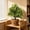 A, variant on YingYouFu Artificial Mandalas Plants for Home Decoration, Green Faux Potted Tree with Floor Socket, Lifelike Mandala Silk Plant for Living Room Office Corner Wedding Party Event Decor