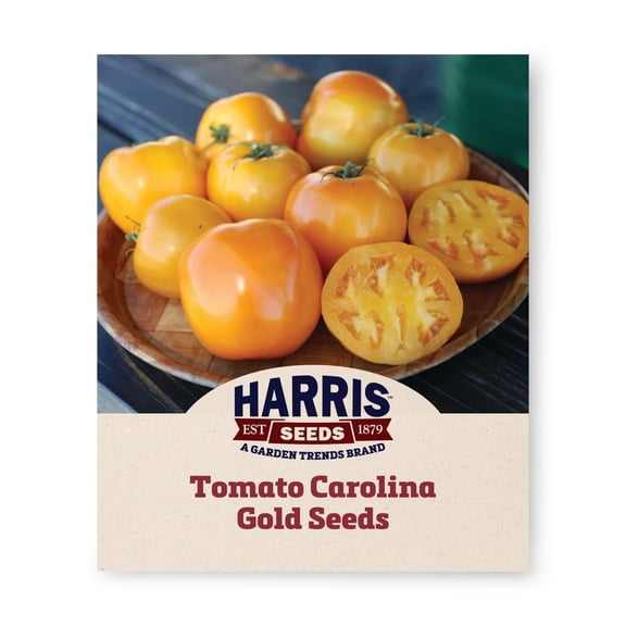 Harris Seeds Tomato Carolina Gold F1, Golden Yellow Fruit, 50 Count