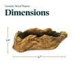 thumbnail image 4 of Ceramic Wood Plant Pot | Indoor Planter for Succulents & Flowers (Driftwood Ridge), 4 of 6