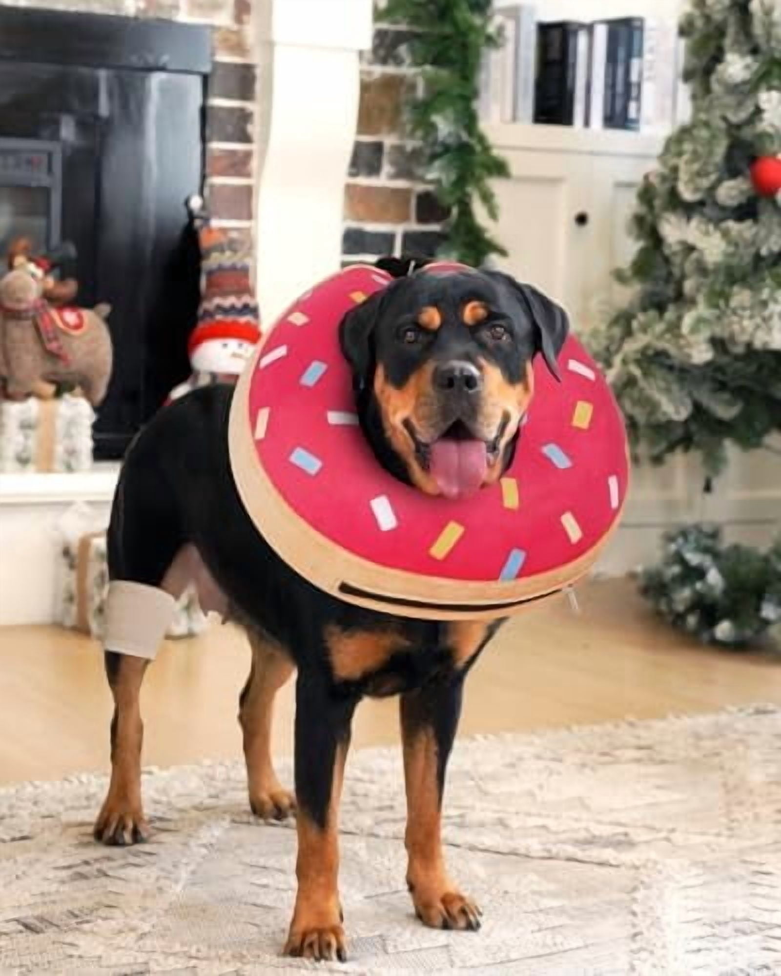 Inflatable Dog Pillow Cone Collar After Surgery, Donut Soft Neck Cone for Beagle French Bulldog Medium Plus Dogs, etc, Recovery E Collar to Stop Pink Donut