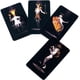 thumbnail image 3 of True Black Tarot Cards: un tarot atemporal cubierta, 3 of 5