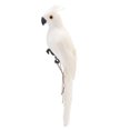thumbnail image 1 of AMERTEER 2Pcs Foam Feather Artificial Parrot Imitation Bird Model Home Ornament (Green), 1 of 9