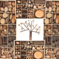 thumbnail image 4 of AMLESO 10 Slots Unfinished Wood Slices Mixed Sizes Circles Log Discs Wood Pieces for, 4 of 8