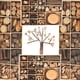 thumbnail image 4 of Surtido de Rodajas de Troncos BLESIY Adornos de Madera Natural, 4 of 8