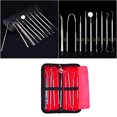 thumbnail image 3 of EeaseCA 1 Set Dental Hygiene Kit Teeth Whitening Tools Calculus Plaque Remover Set Clean Teeth Kit Stainless Steel with Lamp Without Battery (Silver), 3 of 7