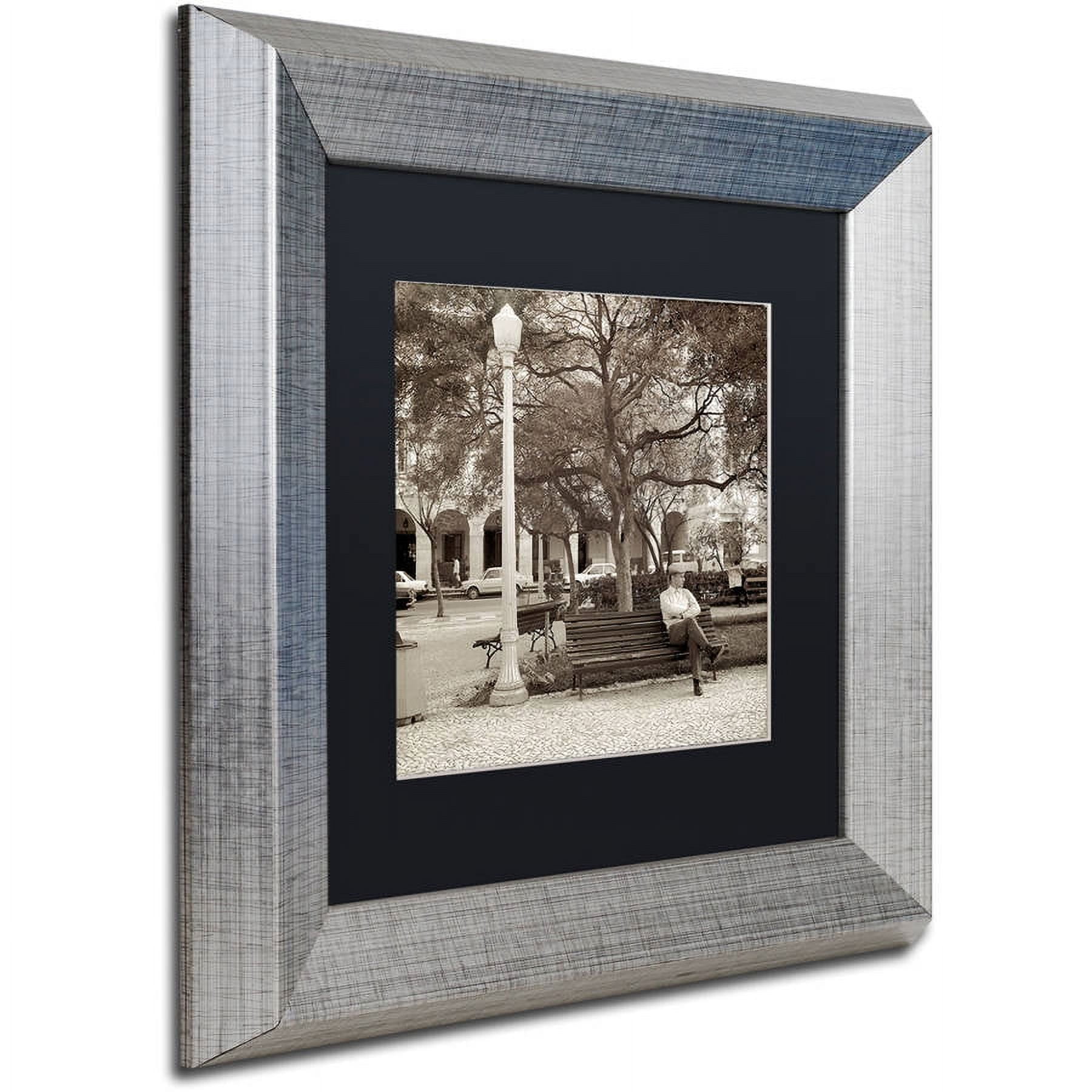 Trademark Fine Art "Faro I" Canvas Art by Alan Blaustein, Black Matte, Silver Frame