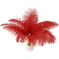 thumbnail image 4 of 10 Pack Natural Ostrich Feathers, 10-12 in (25-30 cm) Crafts DIY Plume Feather for Centerpieces Home Wedding Party Table Decoration - Red, 4 of 7