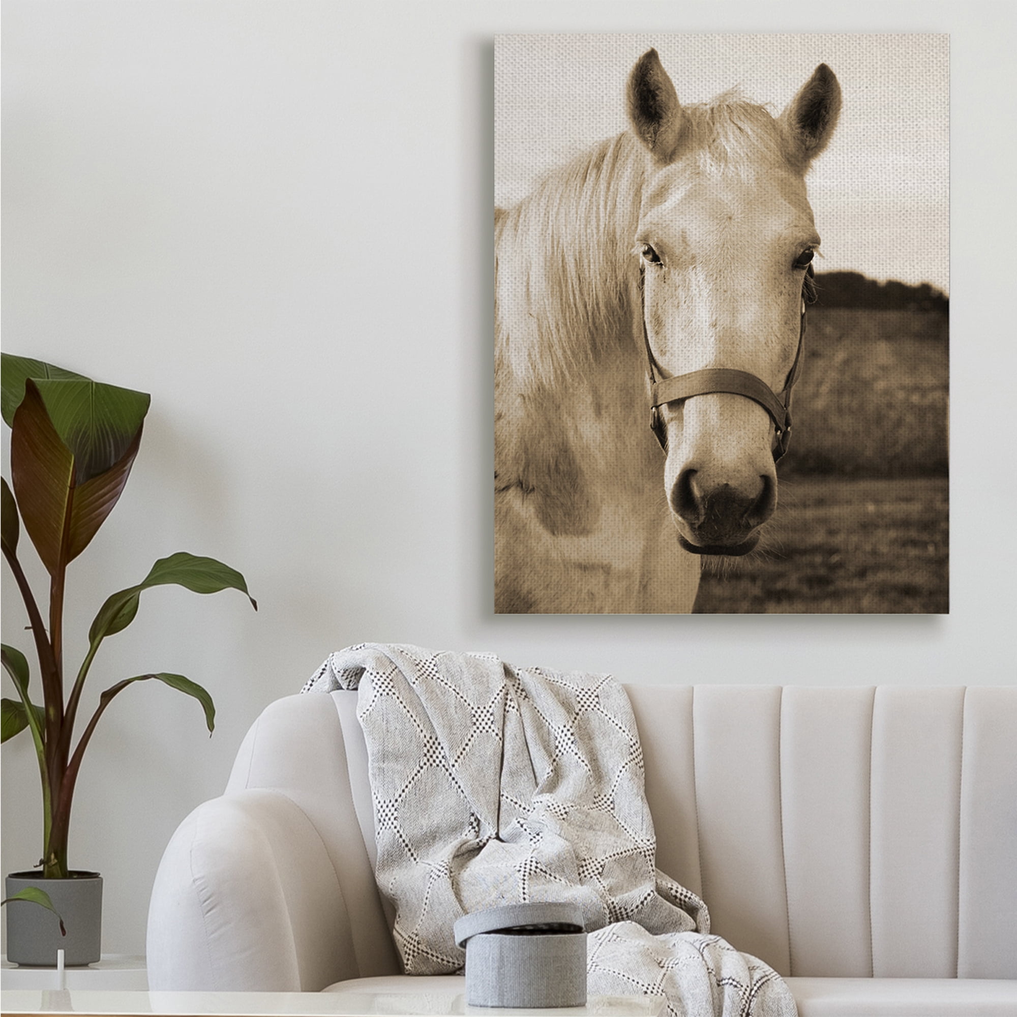 Industries Rustic Sepia tone Portrait of White Horse 36 in x 48 in Photography Canvas Art Print, by Stupell Home Décor