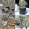 thumbnail image 2 of 6 Pieces Coir Plant Mat, Coir Disc, Coir Mulching Disc, Winter Protection For Potted Plants, Protect The Roots Of Potted Plants, 2 of 5