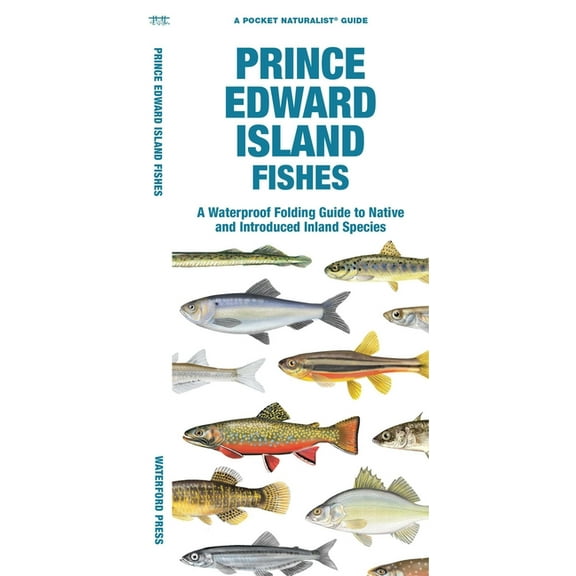 Prince Edward Island Fishes : A Waterproof Folding Guide to Native and Introduced Species (Paperback)